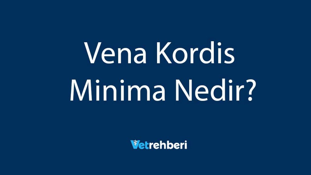 Vena Kordis Minima Nedir?