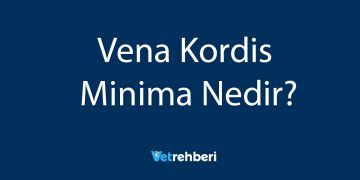 Vena Kordis Minima Nedir?