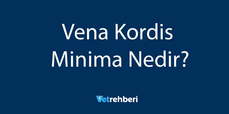 Vena Kordis Minima Nedir?