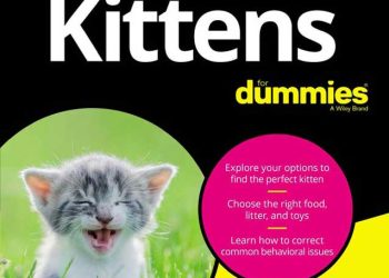 Yeni Başlayanlar İçin Yavru Kediler