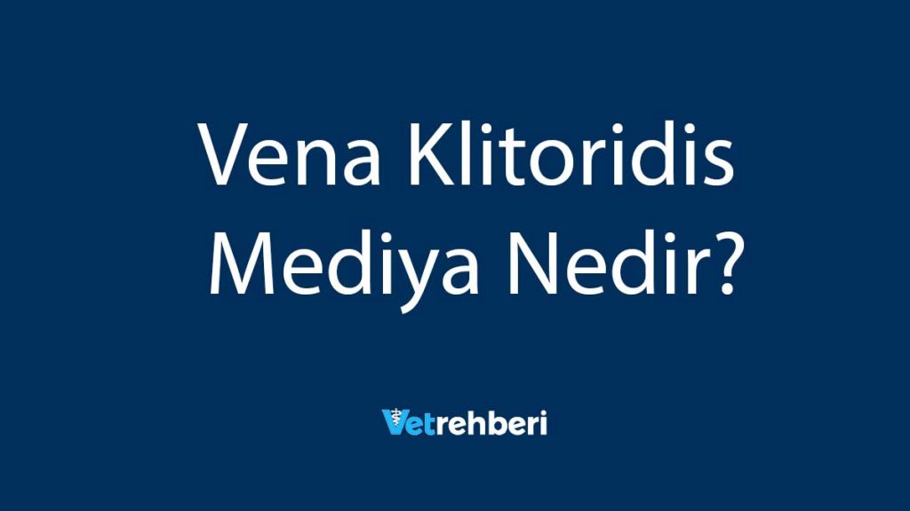 Vena Klitoridis Mediya Nedir?