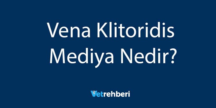 Vena Klitoridis Mediya Nedir?