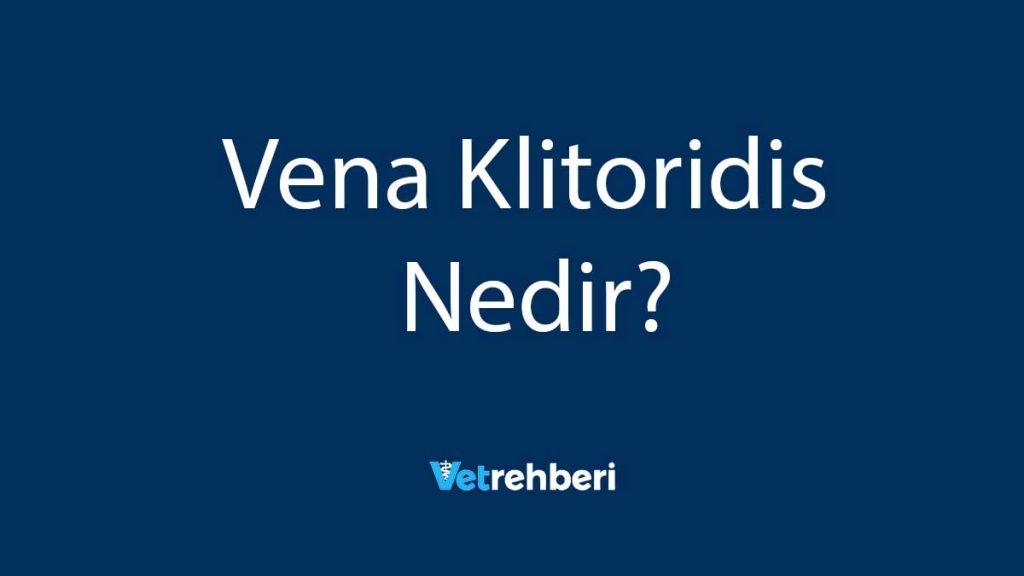 Vena Klitoridis Nedir?