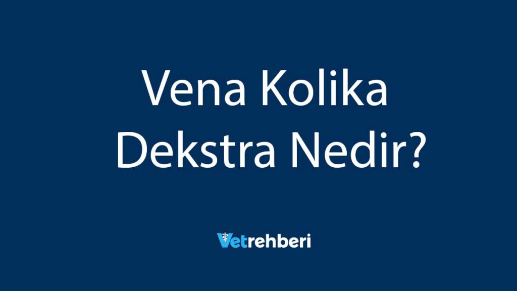 Vena Kolika Dekstra Nedir?