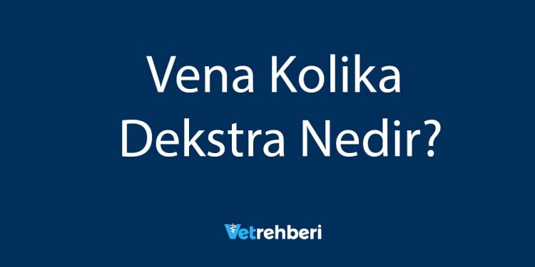 Vena Kolika Dekstra Nedir?