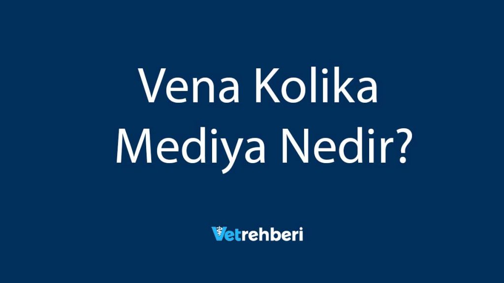 Vena Kolika Mediya Nedir?