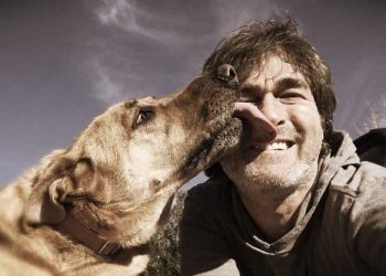 AKC 2022'nin En Popüler Köpek İsimlerini Duyurdu