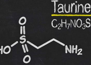Mamaların İçerisinde Bulunan Gizli Hazine “Taurin”