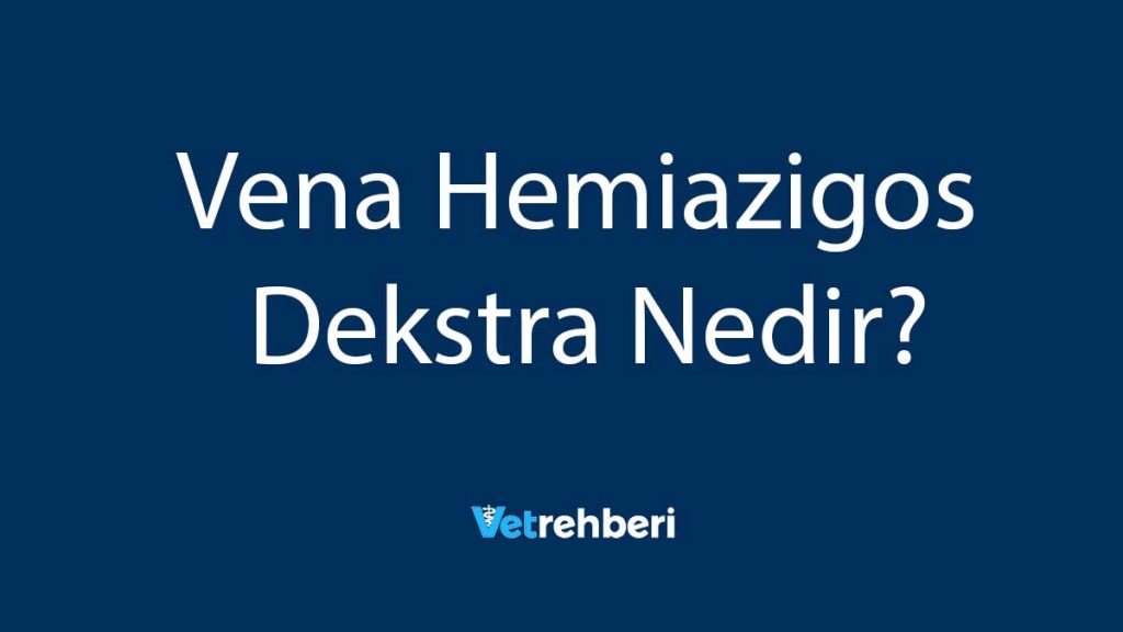 Vena Hemiazigos Dekstra Nedir?