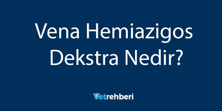 Vena Hemiazigos Dekstra Nedir?