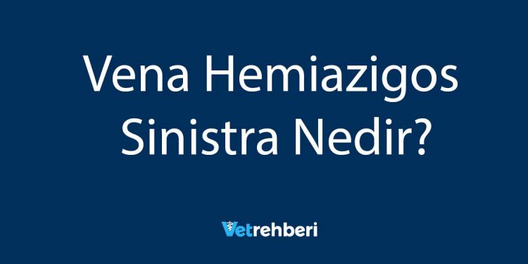 Vena Hemiazigos Sinistra Nedir?