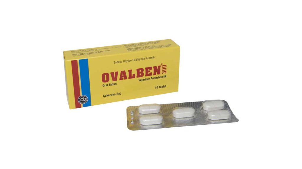 Ovalben 300