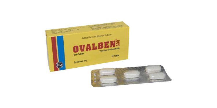 Ovalben 300