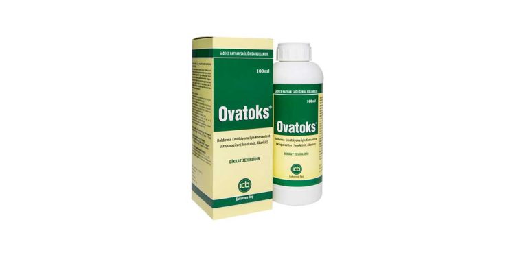 Ovatoks