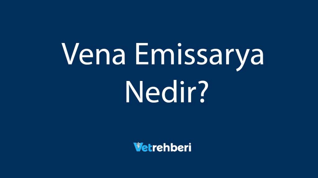 Vena Emissarya Nedir?