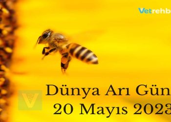 Dünya Arı Günü - 20 Mayıs 2023