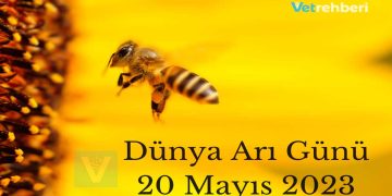 Dünya Arı Günü - 20 Mayıs 2023