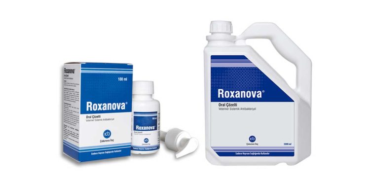 Roxanova