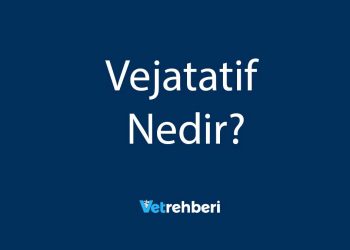 Vejatatif Nedir?