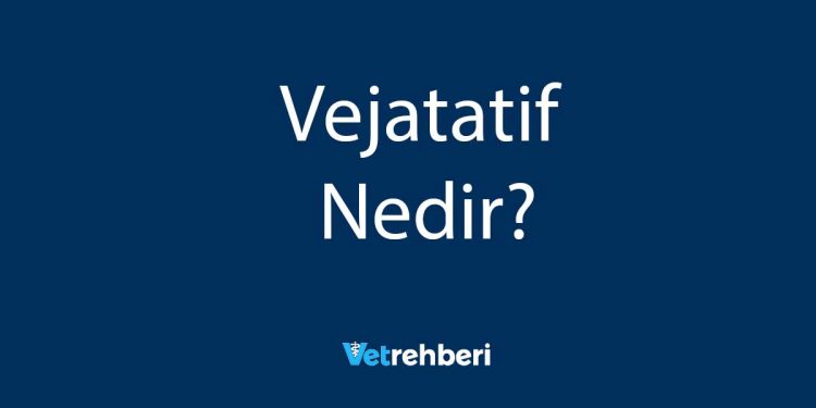 Vejatatif Nedir?