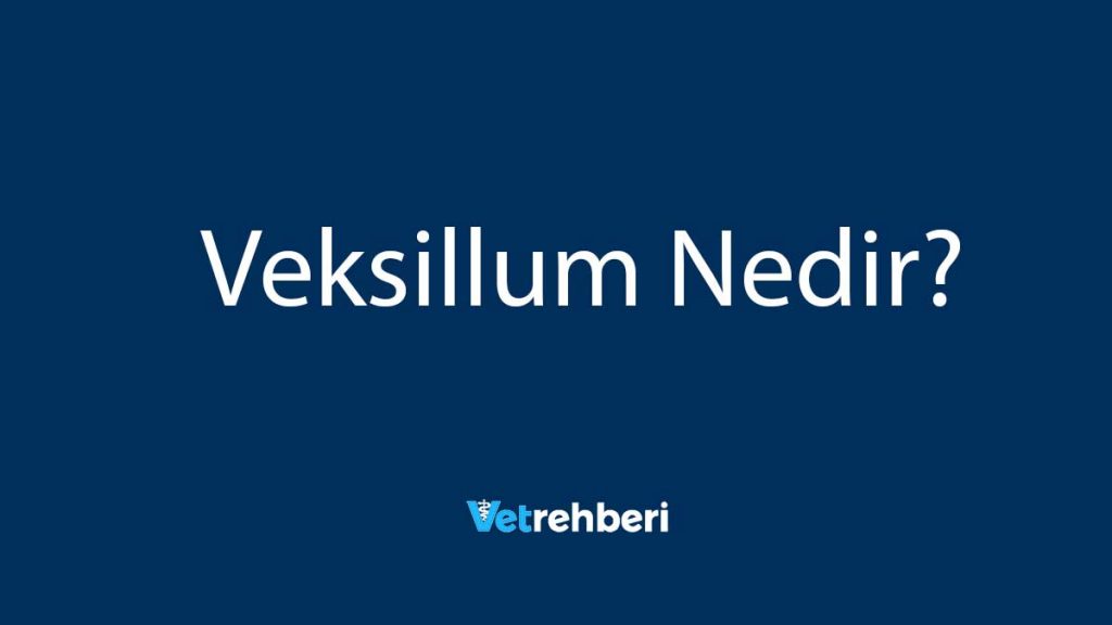 Veksillum Nedir?