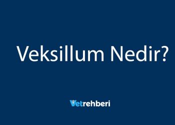 Veksillum Nedir?