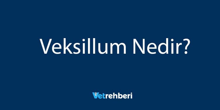 Veksillum Nedir?