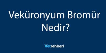 Veküronyum Bromür Nedir?