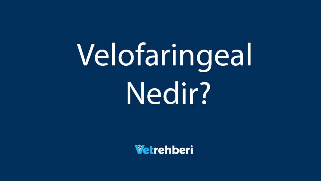 Velofaringeal Nedir?