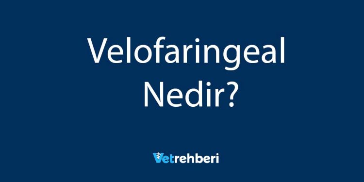 Velofaringeal Nedir?