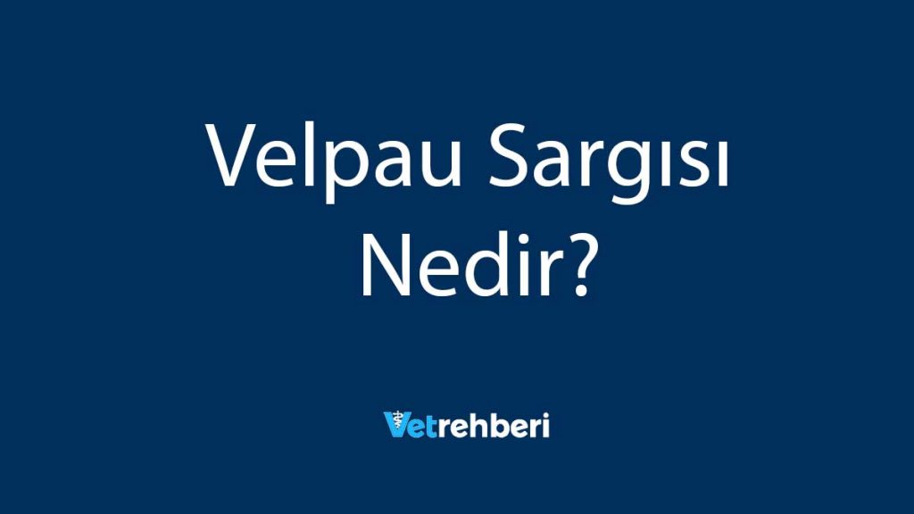 Velpau Sargısı Nedir?