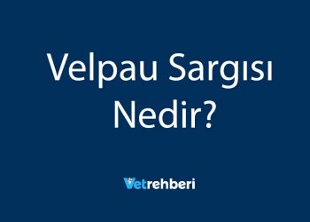 Velpau Sargısı Nedir?