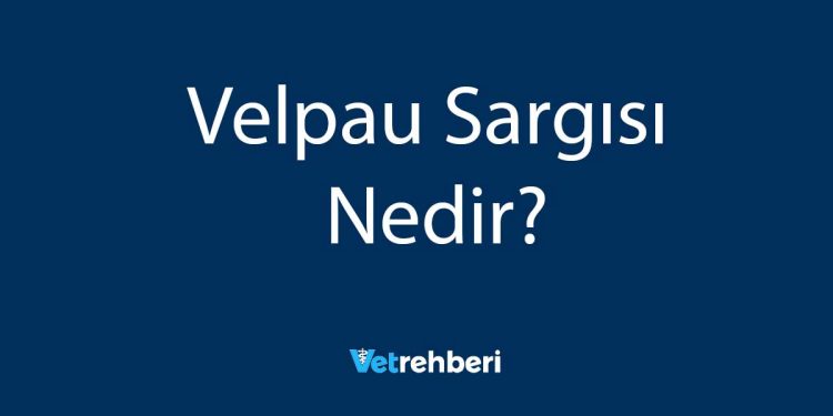 Velpau Sargısı Nedir?