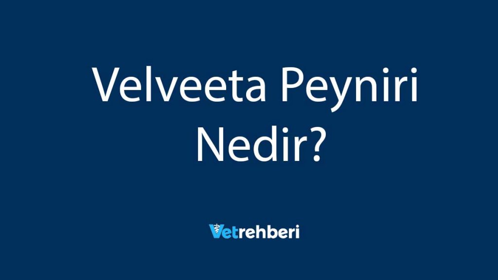 Velveeta Peyniri Nedir?