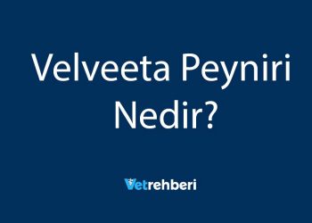 Velveeta Peyniri Nedir?