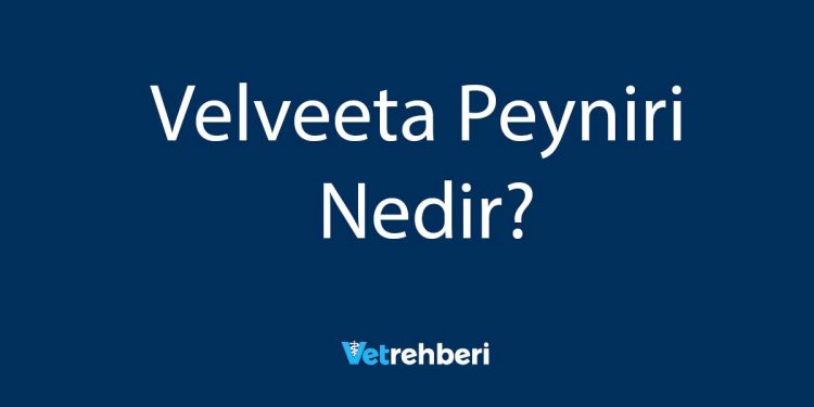 Velveeta Peyniri Nedir?