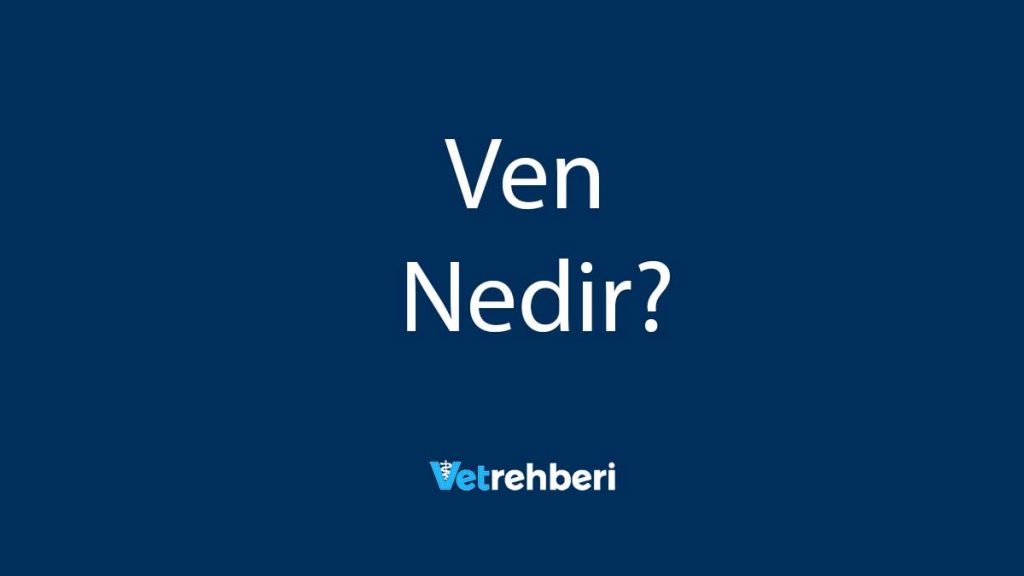 Ven Nedir?