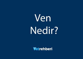 Ven Nedir?