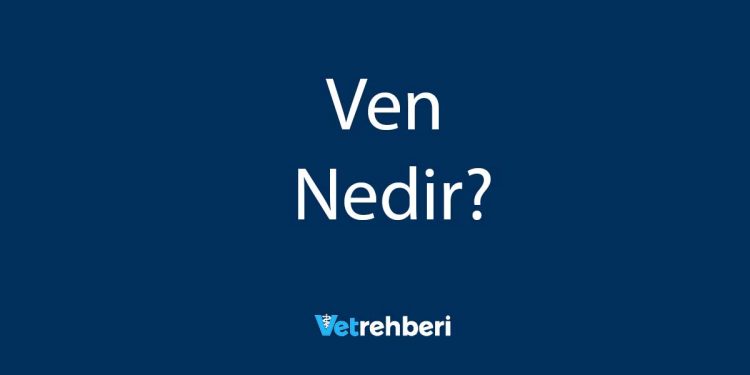 Ven Nedir?