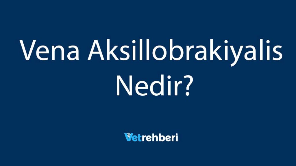 Vena Aksillobrakiyalis Nedir?