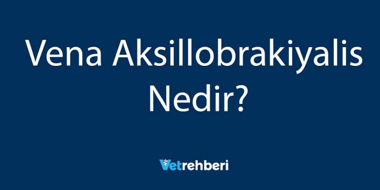 Vena Aksillobrakiyalis Nedir?