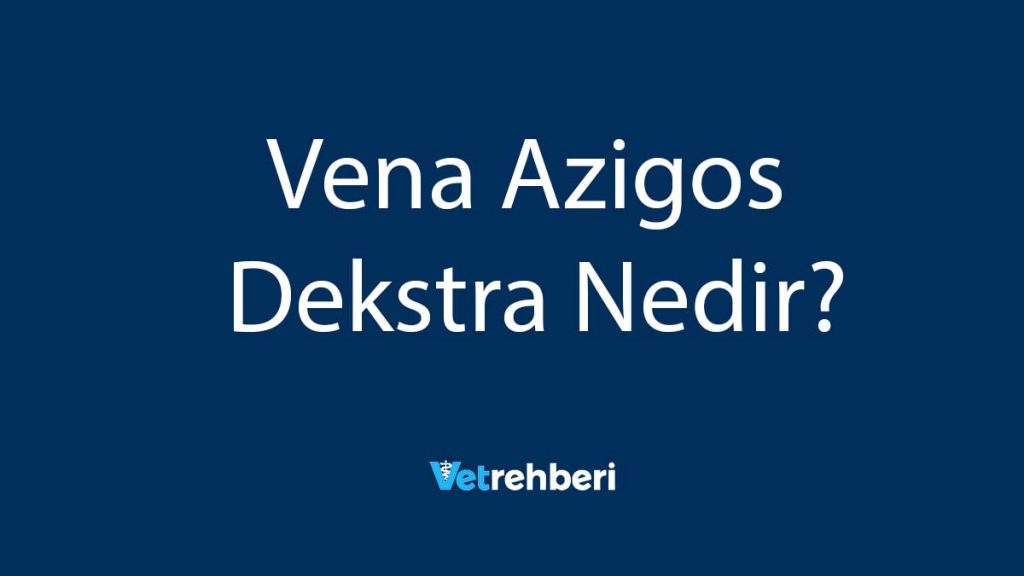 Vena Azigos Dekstra Nedir?