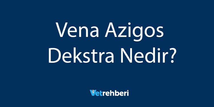 Vena Azigos Dekstra Nedir?