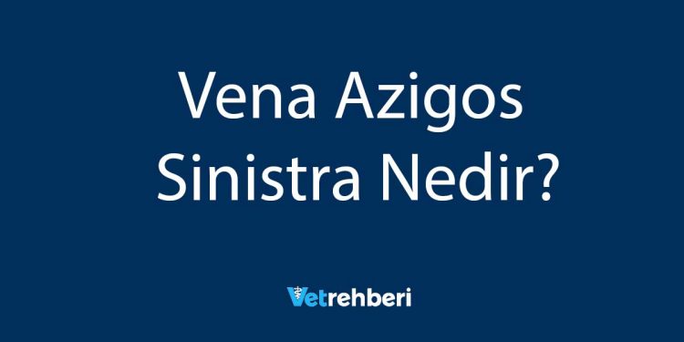 Vena Azigos Sinistra Nedir?