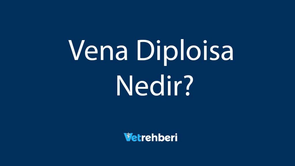 Vena Diploisa Nedir?