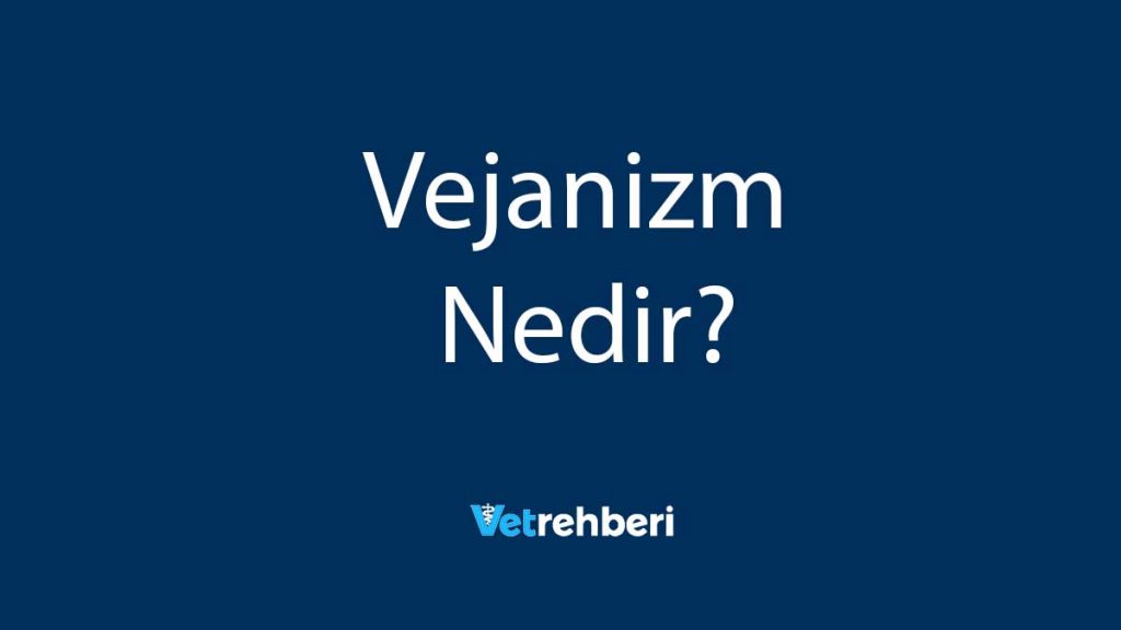 Vejanizm Nedir?