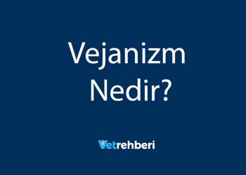 Vejanizm Nedir?