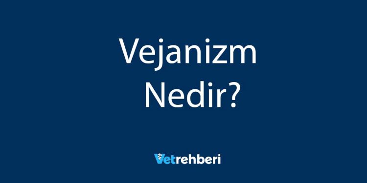 Vejanizm Nedir?