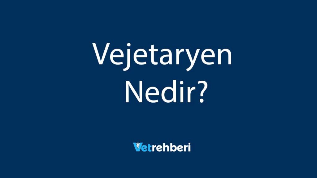 Vejetaryen Nedir?