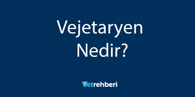 Vejetaryen Nedir?